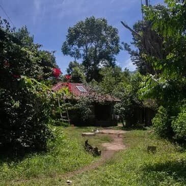 Perumal malai Kodaikanal